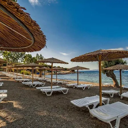 Evia Riviera Resort Amarynthos