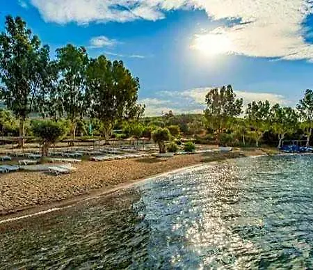 Evia Riviera By Anayia 4* Amarynthos